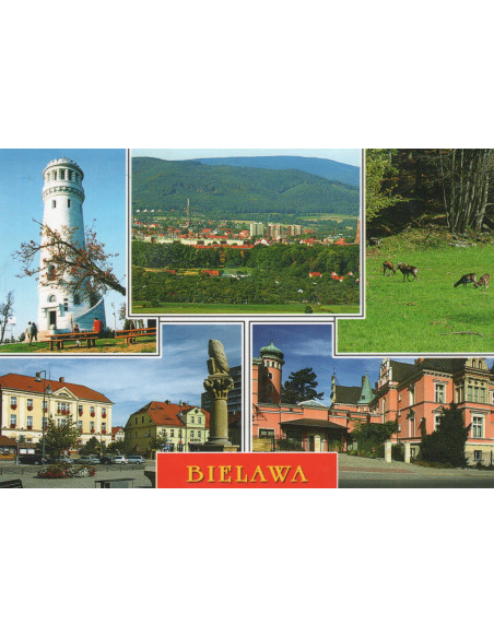 Pocztówka Bielawa miasto