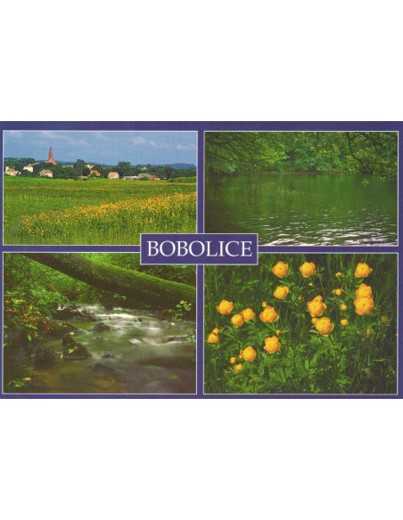 Pocztówka Bobolice miasto