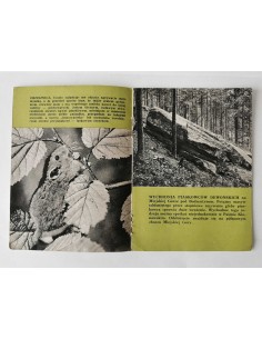 Puszcza Jodłowa Świętokrzyski Park Narodowy 2