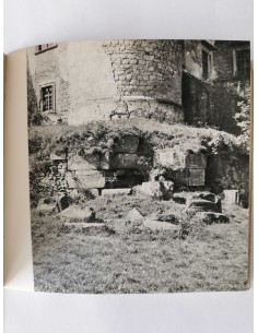 Majewski - Zamek w Wiśniczu 2