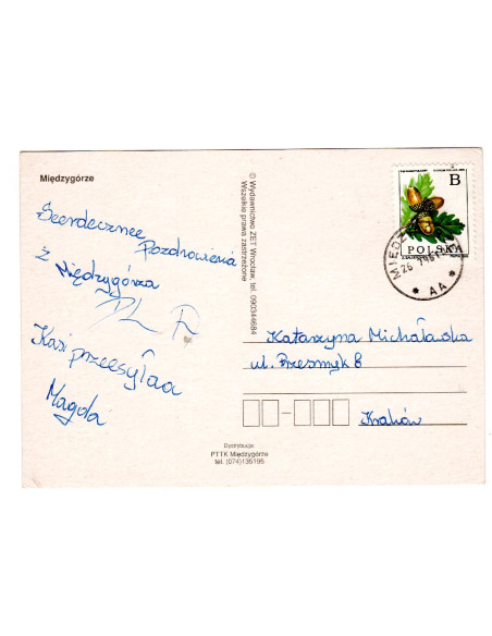 Pocztówka Międzygórze wieś
