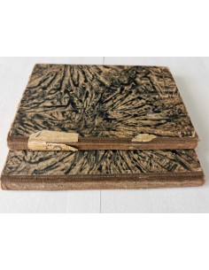 Twain - Przygody Hucka 2 tomy 2