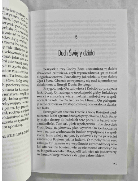 ks. Staniek - Bogactwo i piękno świata łaski