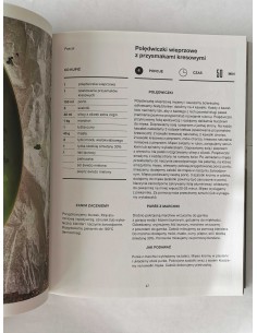 Pascal kontra Okrasa 2