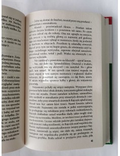 Chmielewska - Drugi wątek 2