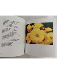 Bosmans - Słoneczne promyki serca 2