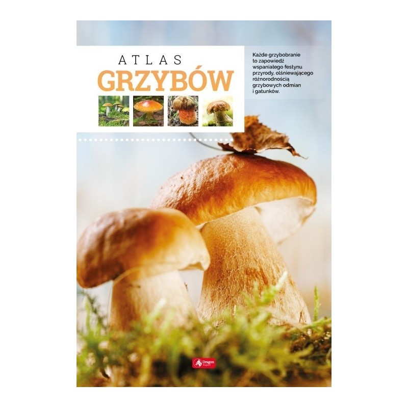 Kamiński - Atlas grzybów