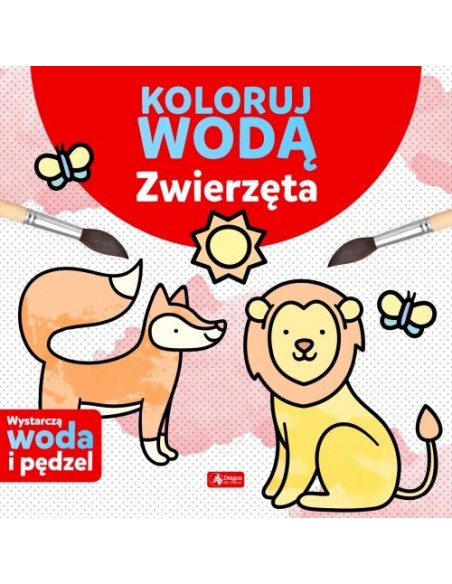 Zestaw Koloruj wodą 6 książeczek
