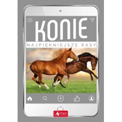Piechocka - Konie Najpiękniejsze rasy