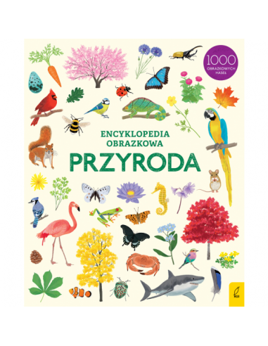 Encyklopedia obrazkowa Przyroda