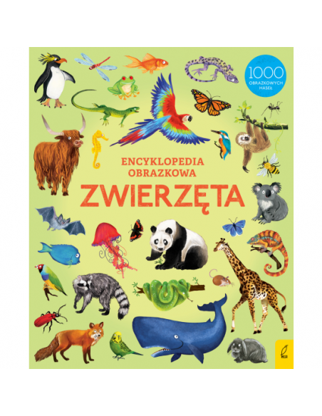 Zestaw Encyklopedia obrazkowa