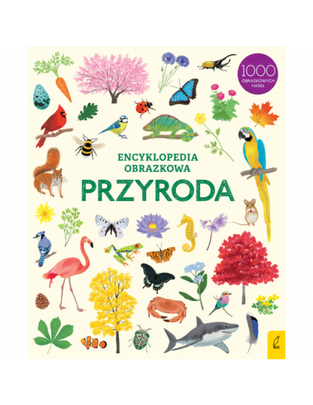 Zestaw Encyklopedia obrazkowa