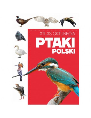 Atlas gatunków Ptaki Polski