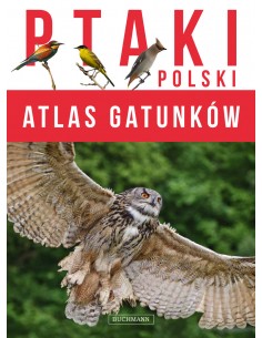 Atlas gatunków Ptaki Polski