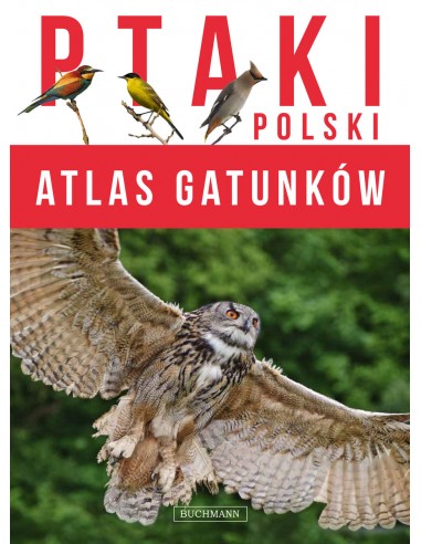 Atlas gatunków Ptaki Polski