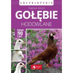 Gilarski - Gołębie hodowlane Encyklopedia