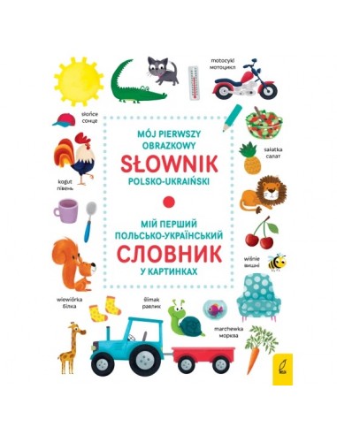 Zestaw Mój pierwszy obrazkowy słownik...
