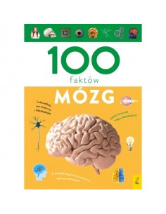 100 faktów Mózg