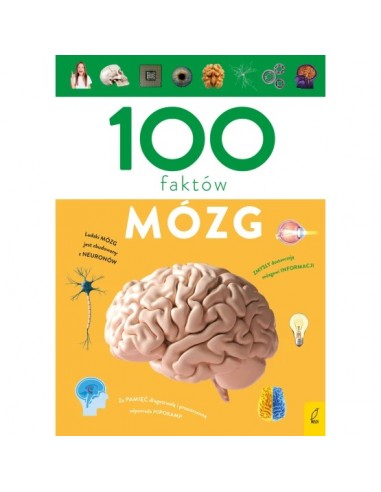 100 faktów Mózg