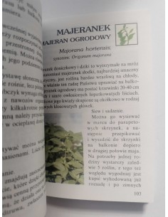 Kardasz - Pielęgnacja roślin balkonowych 2