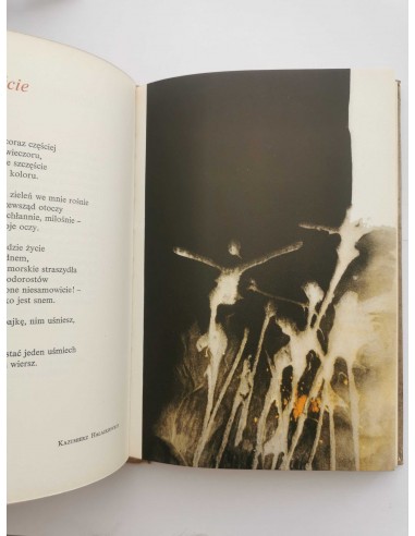 Broniewski - Wiersze i poematy