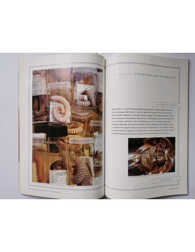 National Geographic Polska nr 11 listopad 2006