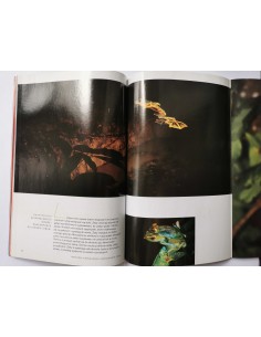National Geographic Polska nr 10 październik 2000 2
