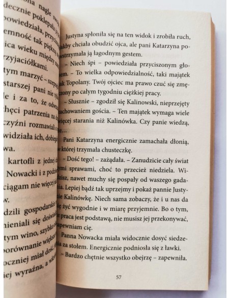 Kukliński - Dworek pod malwami Tom 1 Pan Michał