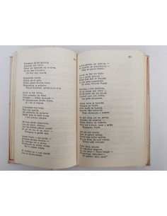 Boy - Słówka 2