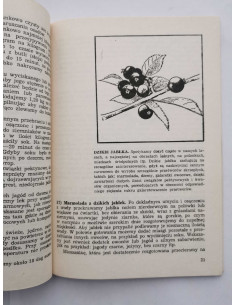 Miernik - Przetwory z płodów leśnych 2