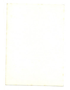 Kobieta i koń 2