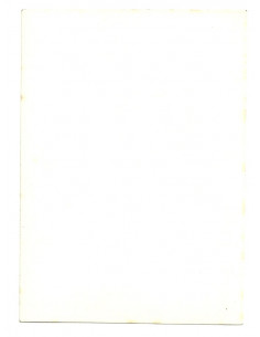 Kobieta drewutnia 2