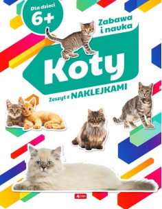 Zabawa i nauka Koty
