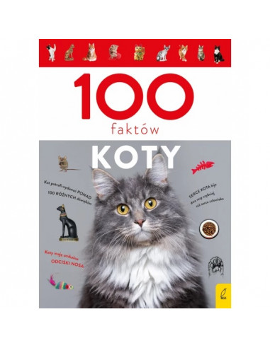 100 faktów Koty
