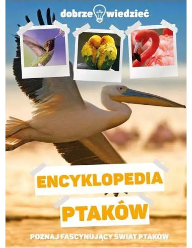 Zestaw dobrze wiedzieć Ptaki Świat zwierząt