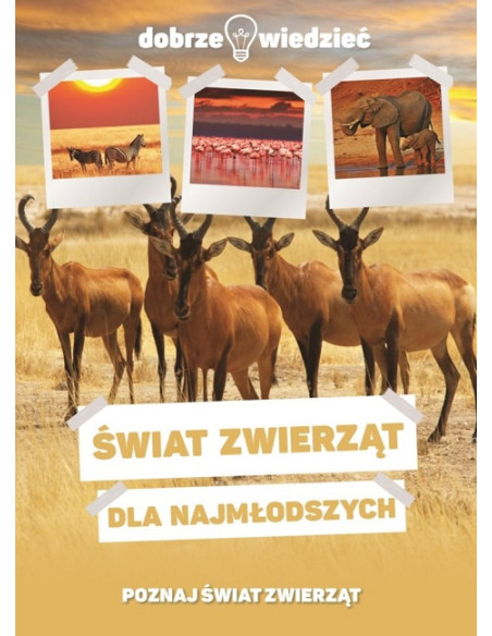 Zestaw dobrze wiedzieć Ptaki Świat zwierząt