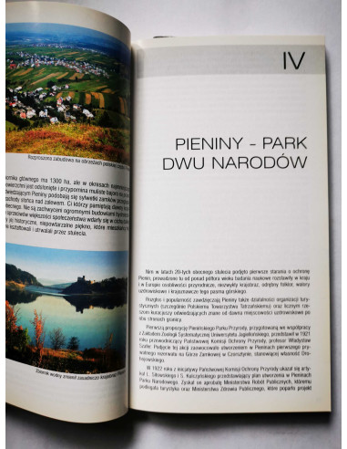 Michalik - Pieniny Przewodnik turystyczny