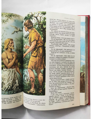 Ilustrowana Biblia młodych