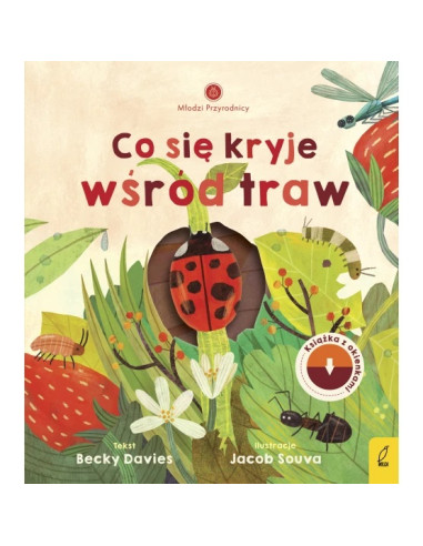 Młodzi przyrodnicy Co się kryje wśród traw