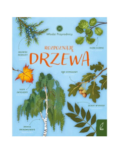 Młodzi przyrodnicy Rozpoznaję drzewa