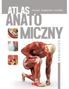 Atlas anatomiczny człowieka