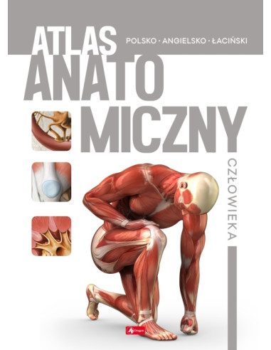 Atlas anatomiczny człowieka