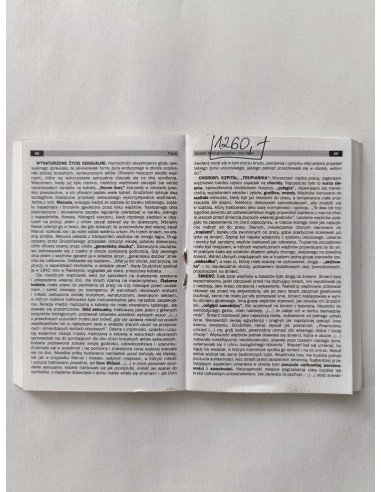 Powtórka z literatury 7 Mini wersja