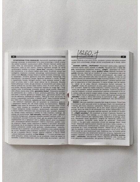 Powtórka z literatury 7 Mini wersja