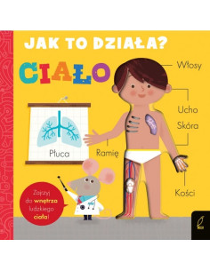 Jak to działa Ciało