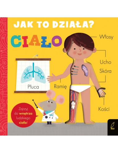 Jak to działa Ciało
